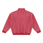 Rooted Men's Quarter-Zip Pullover